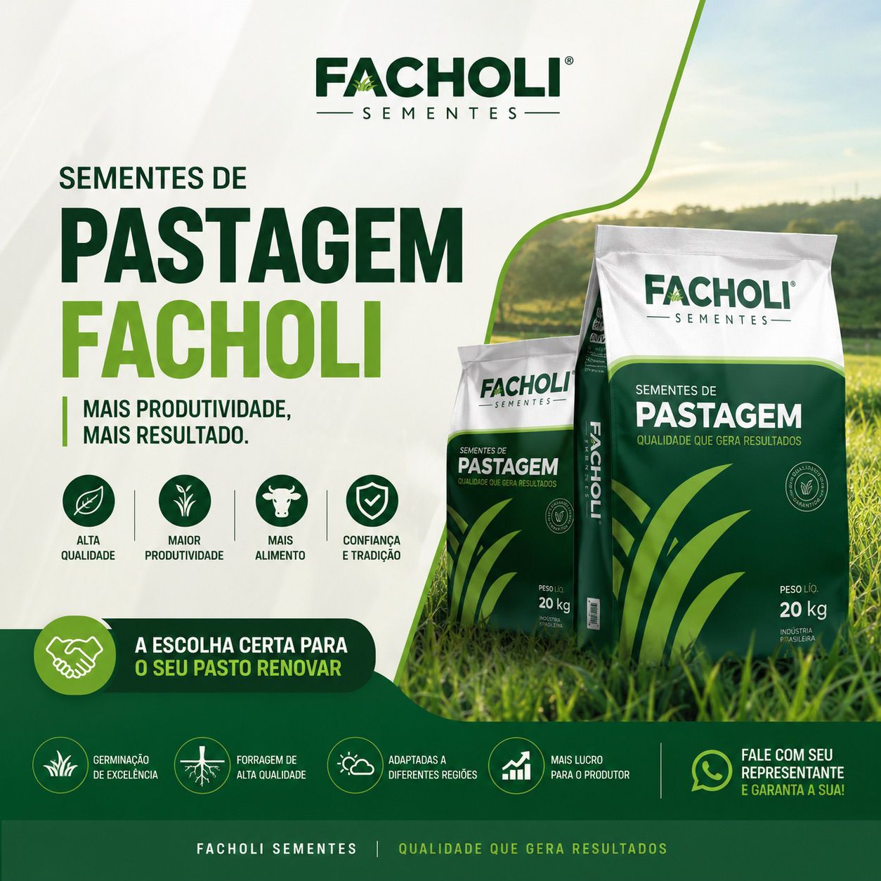 Sementes de pastagem Facholi — sacos de 20 kg